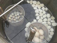 -凤翔首邑温泉度假村