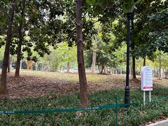 -万达影城(汉街万达广场IMAX店)