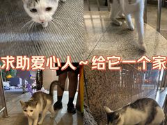 -蒲黄榆(地铁站)