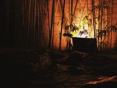 -萬國春·中菜馆(颐和公馆店)
