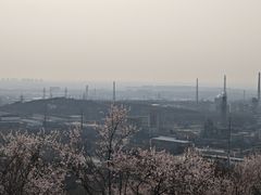 -白水寺森林公园