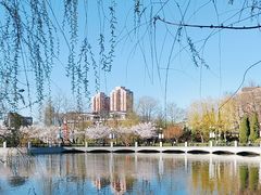 -大连植物园