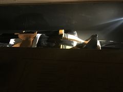罗生门密室逃脱俱乐部(亚运村店)-秃鹫湾·推理大师沉浸式实景演绎推理剧场