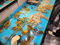 -隐厨·海鲜餐厅(恒通路店)