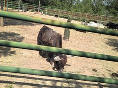 -青藏高原野生动物园