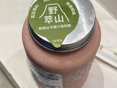 -野萃山·潮汕厚果汁(十亩地店)