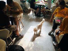 -小时光咖啡馆(北锣鼓巷店)