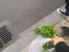 -世纪联华超市(马塍店)