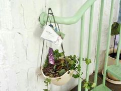 -有猫主题·治愈系猫咖(曾厝垵店)