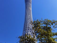 -赏点粤式点心(广州塔店)