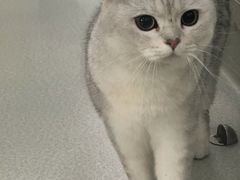 -美美宠物诊疗中心·异宠·骨科(滨江东信分院)