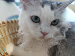 -怪兽屋·羊驼·猫咖·狗咖(俊华广场店)