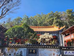 -寂照庵