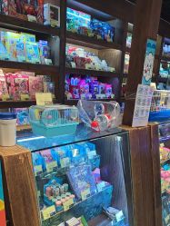 -卡通尼·Safari非洲探索乐园·生日会(金桥国际商业广场店)