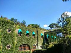 -三鹰之森吉卜力美术馆