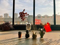 -合柴1972