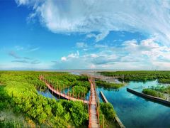 -北海金海湾红树林生态旅游区