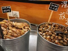-东华假日酒店自助餐