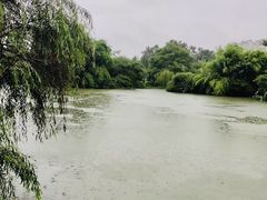 -贵阳市花溪国家城市湿地公园