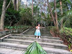 -铁山坪森林公园