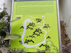 -南山植物园