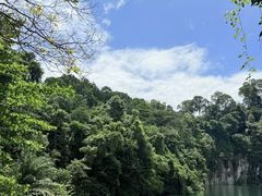 -武吉知马自然保护区