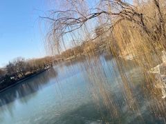 -济南大明湖景区