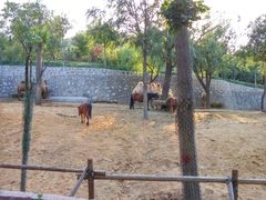 -石家庄市动物园