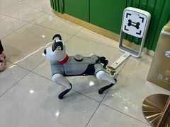 -龙塔