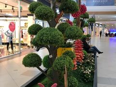 -杉杉奥特莱斯广场(哈尔滨店)