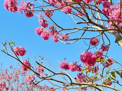 -海珠儿童公园