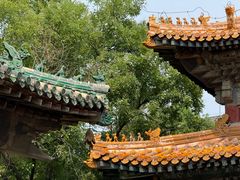 -隆兴寺