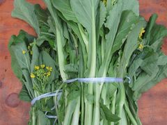 -龙潭生态旅游度假区