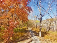 -玉渡山自然风景区