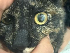 -贝利宠物医院·骨科·眼科·肿瘤转诊中心(南坪诊疗中心)