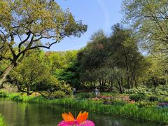 -上海共青森林公园