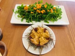 生海胆-海胆小馆(东北水饺·春柳店)