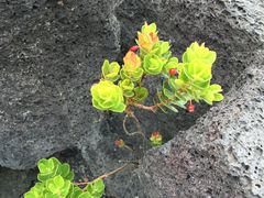-夏威夷火山国家公园