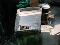 -福宝古镇
