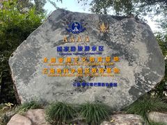 -云南勐巴娜西珍奇园