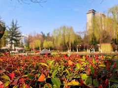 -木塔寺遗址生态公园