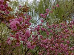 -石家庄市植物园