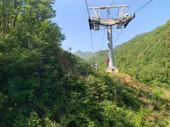 -栾川竹海野生动物园