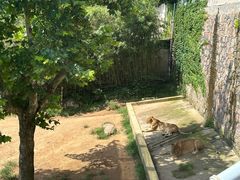 -西霞口神雕山野生动物世界