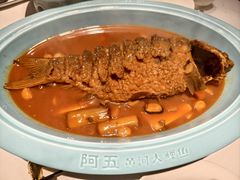 -阿五黄河大鲤鱼(纬三路店)