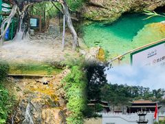 -南海湾森林生态园