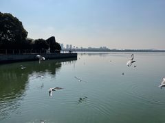 -蠡湖大桥公园