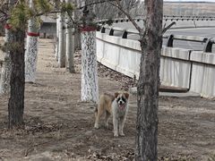 -赛汗塔拉风情园