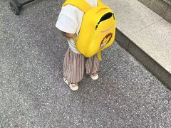 -蒙蒙狮蒙台梭利儿童之家