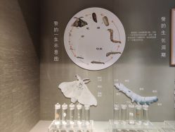 -太湖雪蚕桑文化园